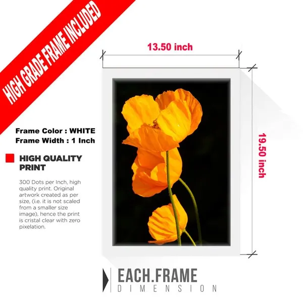 Multicolor_Abstract/Motivational_Framed_Painting/Posters,_Ready_|_For_Wall_Hanging,_Premium_Art_|_For_Home,_Office,_Living_Room_&_Bedroom_Wall_Decor,_(Size_-_13.50_X_19.50_In),_Frame_Color:_White,_Nrs124