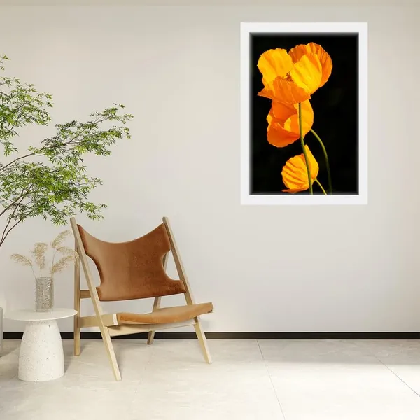 Multicolor_Abstract/Motivational_Framed_Painting/Posters,_Ready_|_For_Wall_Hanging,_Premium_Art_|_For_Home,_Office,_Living_Room_&_Bedroom_Wall_Decor,_(Size_-_13.50_X_19.50_In),_Frame_Color:_White,_Nrs124