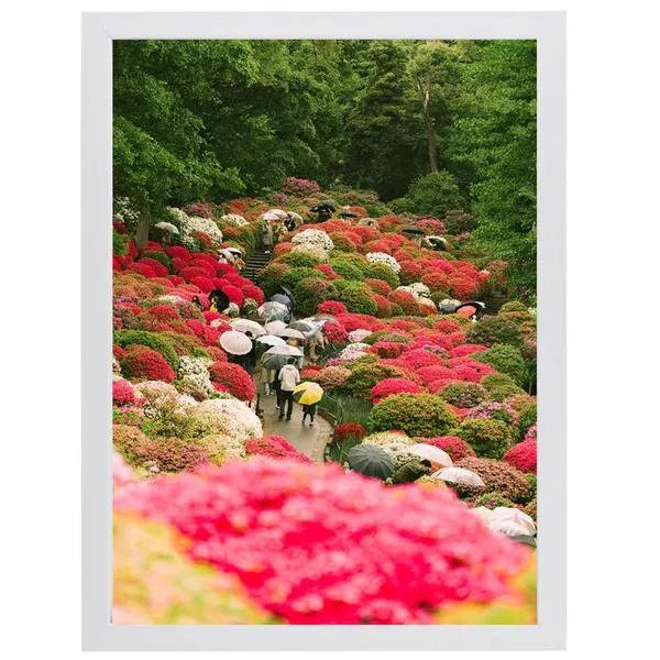 White__Abstract/Motivational_Framed_Painting/Posters,_Ready_|_For_Wall_Hanging,_Premium_Art_|_For_Home,_Office,_Living_Room_&_Bedroom_Wall_Decor,_(Size_-_13.50_X_19.50_In),_Frame_Color:_White,_Nrs214