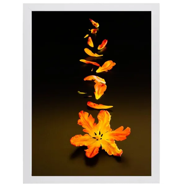 White__Abstract/Motivational_Framed_Painting/Posters,_Ready_|_For_Wall_Hanging,_Premium_Art_|_For_Home,_Office,_Living_Room_&_Bedroom_Wall_Decor,_(Size_-_13.50_X_19.50_In),_Frame_Color:_White,_Nrs242