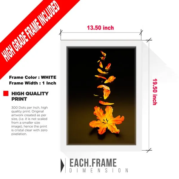 White__Abstract/Motivational_Framed_Painting/Posters,_Ready_|_For_Wall_Hanging,_Premium_Art_|_For_Home,_Office,_Living_Room_&_Bedroom_Wall_Decor,_(Size_-_13.50_X_19.50_In),_Frame_Color:_White,_Nrs242