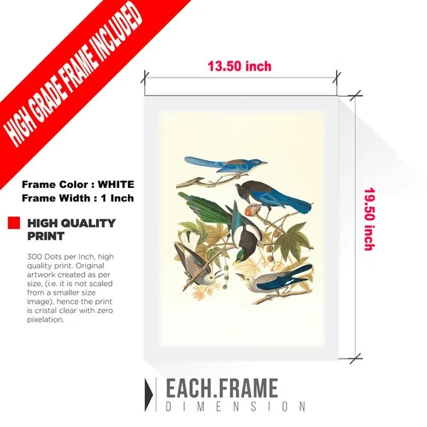 White__Abstract/Motivational_Framed_Painting/Posters,_Ready_|_For_Wall_Hanging,_Premium_Art_|_For_Home,_Office,_Living_Room_&_Bedroom_Wall_Decor,_(Size_-_13.50_X_19.50_In),_Frame_Color:_White,_Nrs333
