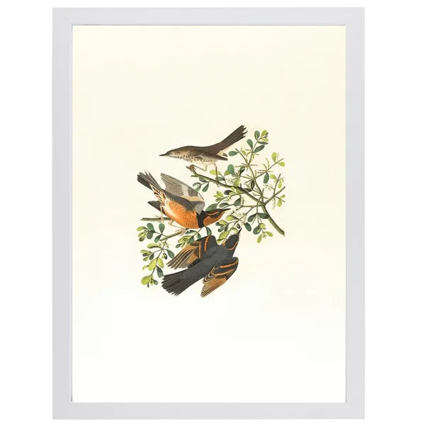 White__Abstract/Motivational_Framed_Painting/Posters,_Ready_|_For_Wall_Hanging,_Premium_Art_|_For_Home,_Office,_Living_Room_&_Bedroom_Wall_Decor,_(Size_-_13.50_X_19.50_In),_Frame_Color:_White,_Nrs339