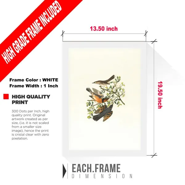 White__Abstract/Motivational_Framed_Painting/Posters,_Ready_|_For_Wall_Hanging,_Premium_Art_|_For_Home,_Office,_Living_Room_&_Bedroom_Wall_Decor,_(Size_-_13.50_X_19.50_In),_Frame_Color:_White,_Nrs339