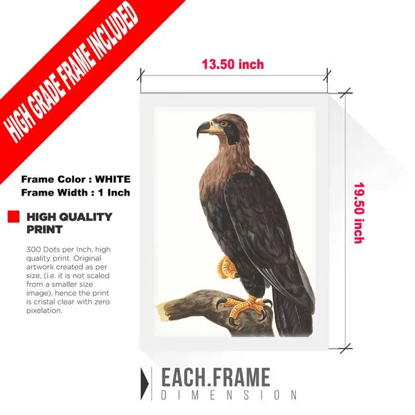 Multicolor_Abstract/Motivational_Framed_Painting/Posters,_Ready_|_For_Wall_Hanging,_Premium_Art_|_For_Home,_Office,_Living_Room_&_Bedroom_Wall_Decor,_(Size_-_13.50_X_19.50_In),_Frame_Color:_White,_Nrs413