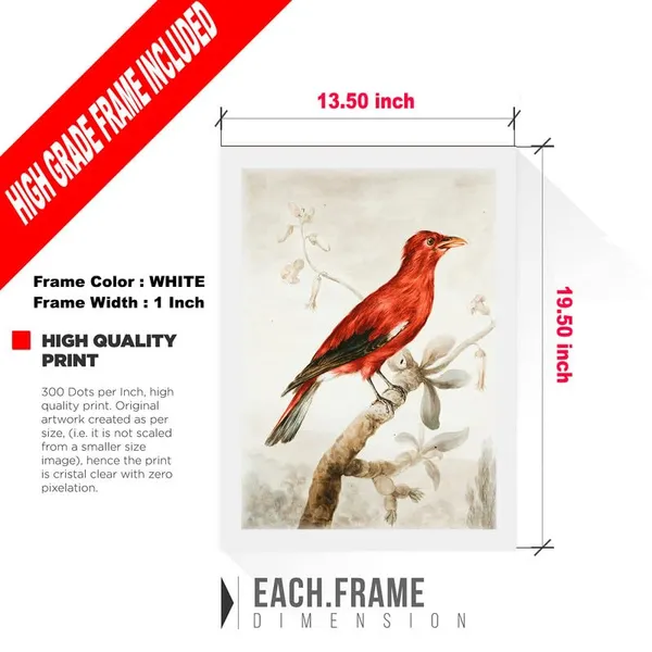 White__Abstract/Motivational_Framed_Painting/Posters,_Ready_|_For_Wall_Hanging,_Premium_Art_|_For_Home,_Office,_Living_Room_&_Bedroom_Wall_Decor,_(Size_-_13.50_X_19.50_In),_Frame_Color:_White,_Nrs419