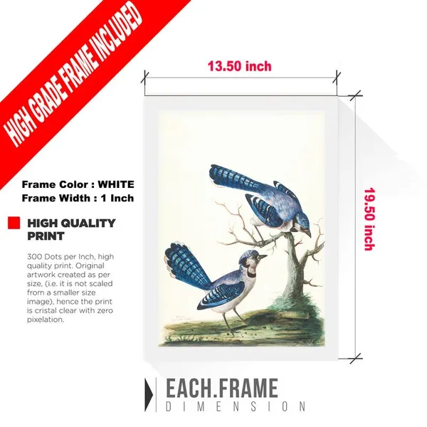 White__Abstract/Motivational_Framed_Painting/Posters,_Ready_|_For_Wall_Hanging,_Premium_Art_|_For_Home,_Office,_Living_Room_&_Bedroom_Wall_Decor,_(Size_-_13.50_X_19.50_In),_Frame_Color:_White,_Nrs422