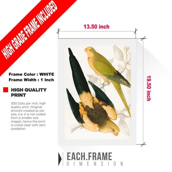White__Abstract/Motivational_Framed_Painting/Posters,_Ready_|_For_Wall_Hanging,_Premium_Art_|_For_Home,_Office,_Living_Room_&_Bedroom_Wall_Decor,_(Size_-_13.50_X_19.50_In),_Frame_Color:_White,_Nrs428