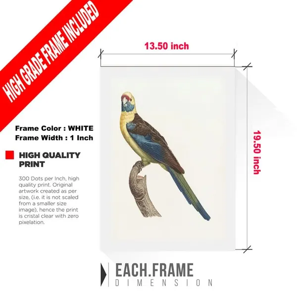 Multicolor_Abstract/Motivational_Framed_Painting/Posters,_Ready_|_For_Wall_Hanging,_Premium_Art_|_For_Home,_Office,_Living_Room_&_Bedroom_Wall_Decor,_(Size_-_13.50_X_19.50_In),_Frame_Color:_White,_Nrs458