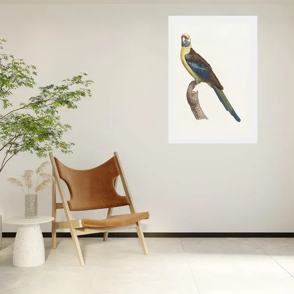 Multicolor_Abstract/Motivational_Framed_Painting/Posters,_Ready_|_For_Wall_Hanging,_Premium_Art_|_For_Home,_Office,_Living_Room_&_Bedroom_Wall_Decor,_(Size_-_13.50_X_19.50_In),_Frame_Color:_White,_Nrs458