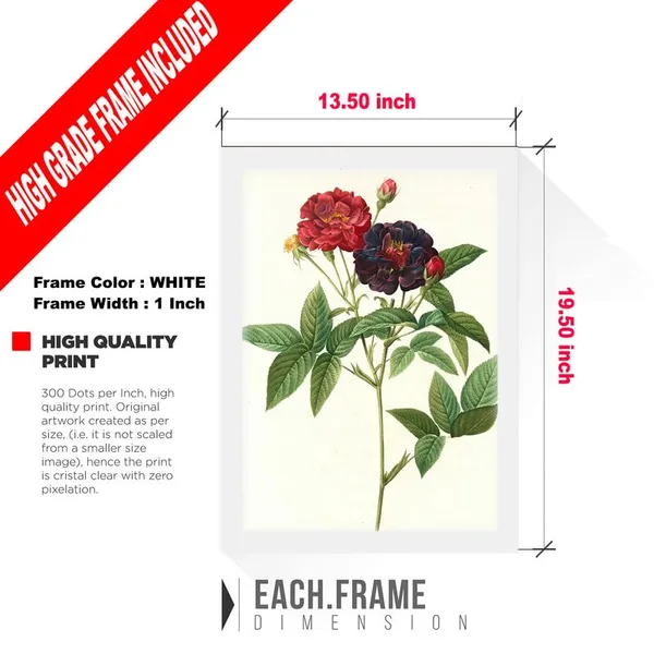White__Abstract/Motivational_Framed_Painting/Posters,_Ready_|_For_Wall_Hanging,_Premium_Art_|_For_Home,_Office,_Living_Room_&_Bedroom_Wall_Decor,_(Size_-_13.50_X_19.50_In),_Frame_Color:_White,_Nrs459