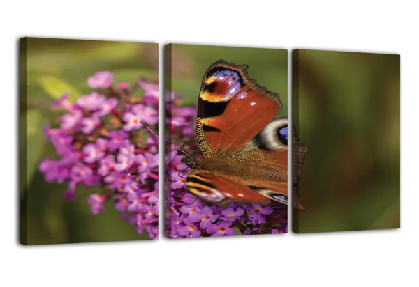 Multicolor_Abstract_Canvas_Wall_Art_|_For_Living_Room_Wall_Decor_|_For_Bedroom_Office_Decoration,_Wall_Decoration_Large_Painting_Artwork_Set_Of_3_Piece,_Each_Panel_Size_12_X_18,_S31502