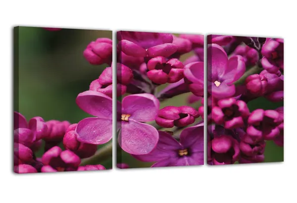 Multicolor_Abstract_Canvas_Wall_Art_|_For_Living_Room_Wall_Decor_|_For_Bedroom_Office_Decoration,_Wall_Decoration_Large_Painting_Artwork_Set_Of_3_Piece,_Each_Panel_Size_12_X_18,_S31506