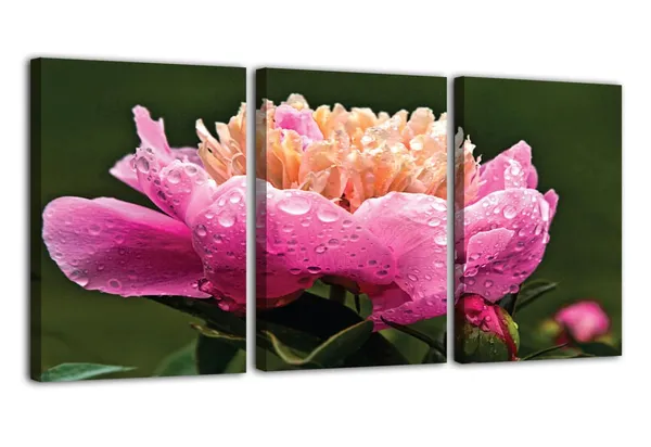 Multicolor_Abstract_Canvas_Wall_Art_|_For_Living_Room_Wall_Decor_|_For_Bedroom_Office_Decoration,_Wall_Decoration_Large_Painting_Artwork_Set_Of_3_Piece,_Each_Panel_Size_12_X_18,_S31519
