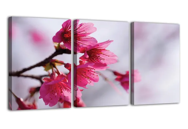 Multicolor_Abstract_Canvas_Wall_Art_|_For_Living_Room_Wall_Decor_|_For_Bedroom_Office_Decoration,_Wall_Decoration_Large_Painting_Artwork_Set_Of_3_Piece,_Each_Panel_Size_12_X_18,_S31523