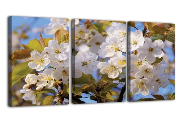 Multicolor_Abstract_Canvas_Wall_Art_|_For_Living_Room_Wall_Decor_|_For_Bedroom_Office_Decoration,_Wall_Decoration_Large_Painting_Artwork_Set_Of_3_Piece,_Each_Panel_Size_12_X_18,_S31525