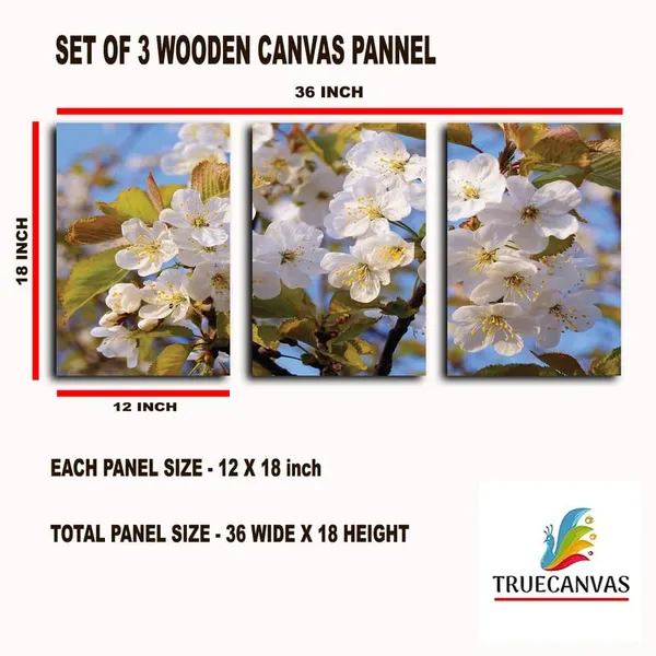 Multicolor_Abstract_Canvas_Wall_Art_|_For_Living_Room_Wall_Decor_|_For_Bedroom_Office_Decoration,_Wall_Decoration_Large_Painting_Artwork_Set_Of_3_Piece,_Each_Panel_Size_12_X_18,_S31525