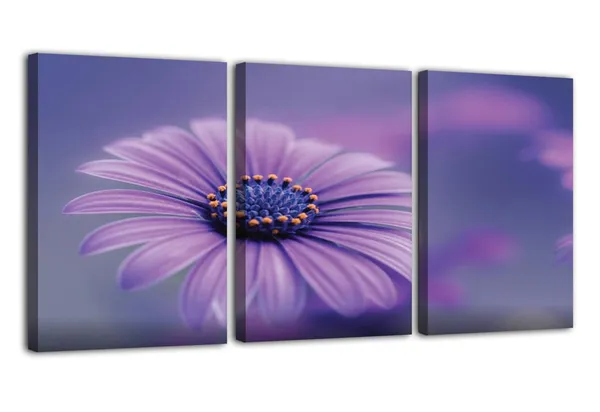 Multicolor_Abstract_Canvas_Wall_Art_|_For_Living_Room_Wall_Decor_|_For_Bedroom_Office_Decoration,_Wall_Decoration_Large_Painting_Artwork_Set_Of_3_Piece,_Each_Panel_Size_12_X_18,_S31542