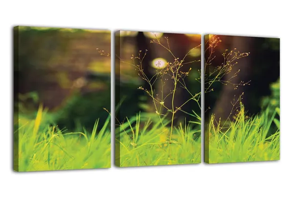 Multicolor_Abstract_Canvas_Wall_Art_|_For_Living_Room_Wall_Decor_|_For_Bedroom_Office_Decoration,_Wall_Decoration_Large_Painting_Artwork_Set_Of_3_Piece,_Each_Panel_Size_12_X_18,_S31570