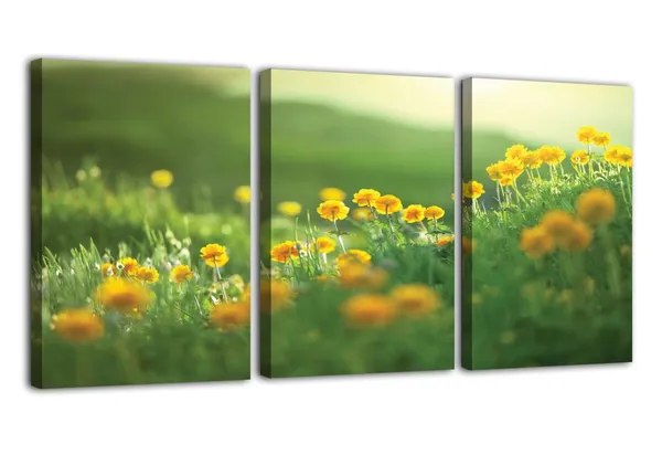 Multicolor_Abstract_Canvas_Wall_Art_|_For_Living_Room_Wall_Decor_|_For_Bedroom_Office_Decoration,_Wall_Decoration_Large_Painting_Artwork_Set_Of_3_Piece,_Each_Panel_Size_12_X_18,_S31587