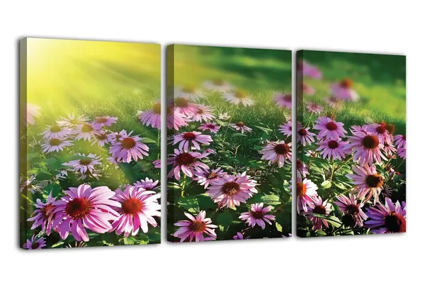 Multicolor_Abstract_Canvas_Wall_Art_|_For_Living_Room_Wall_Decor_|_For_Bedroom_Office_Decoration,_Wall_Decoration_Large_Painting_Artwork_Set_Of_3_Piece,_Each_Panel_Size_12_X_18,_S31592