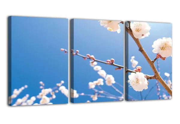 Multicolor_Abstract_Canvas_Wall_Art_|_For_Living_Room_Wall_Decor_|_For_Bedroom_Office_Decoration,_Wall_Decoration_Large_Painting_Artwork_Set_Of_3_Piece,_Each_Panel_Size_12_X_18,_S31594