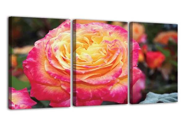 Multicolor_Abstract_Canvas_Wall_Art_|_For_Living_Room_Wall_Decor_|_For_Bedroom_Office_Decoration,_Wall_Decoration_Large_Painting_Artwork_Set_Of_3_Piece,_Each_Panel_Size_12_X_18,_S31602