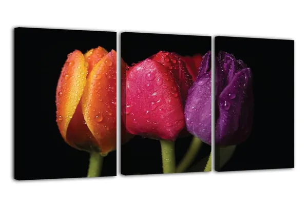 Multicolor_Abstract_Canvas_Wall_Art_|_For_Living_Room_Wall_Decor_|_For_Bedroom_Office_Decoration,_Wall_Decoration_Large_Painting_Artwork_Set_Of_3_Piece,_Each_Panel_Size_12_X_18,_S31605