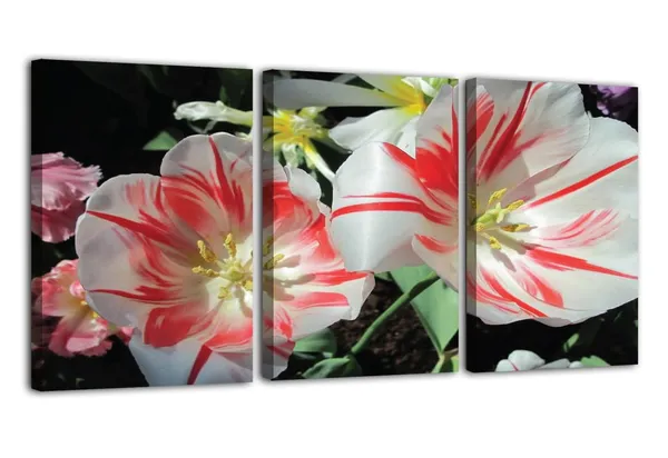 Multicolor_Abstract_Canvas_Wall_Art_|_For_Living_Room_Wall_Decor_|_For_Bedroom_Office_Decoration,_Wall_Decoration_Large_Painting_Artwork_Set_Of_3_Piece,_Each_Panel_Size_12_X_18,_S31614