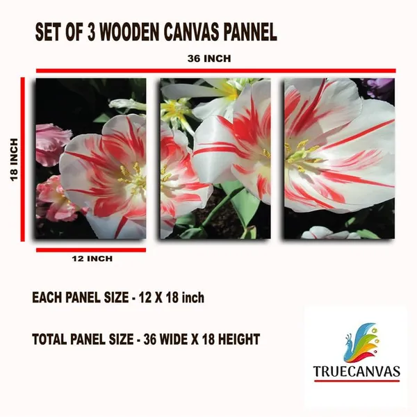 Multicolor_Abstract_Canvas_Wall_Art_|_For_Living_Room_Wall_Decor_|_For_Bedroom_Office_Decoration,_Wall_Decoration_Large_Painting_Artwork_Set_Of_3_Piece,_Each_Panel_Size_12_X_18,_S31614