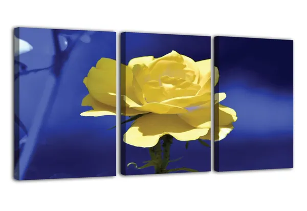 Multicolor_Abstract_Canvas_Wall_Art_|_For_Living_Room_Wall_Decor_|_For_Bedroom_Office_Decoration,_Wall_Decoration_Large_Painting_Artwork_Set_Of_3_Piece,_Each_Panel_Size_12_X_18,_S31619