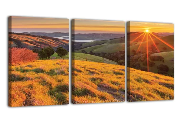 Multicolor_Abstract_Canvas_Wall_Art_|_For_Living_Room_Wall_Decor_|_For_Bedroom_Office_Decoration,_Wall_Decoration_Large_Painting_Artwork_Set_Of_3_Piece,_Each_Panel_Size_12_X_18,_S31623