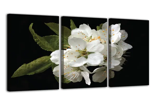 Multicolor_Abstract_Canvas_Wall_Art_|_For_Living_Room_Wall_Decor_|_For_Bedroom_Office_Decoration,_Wall_Decoration_Large_Painting_Artwork_Set_Of_3_Piece,_Each_Panel_Size_12_X_18,_S31628