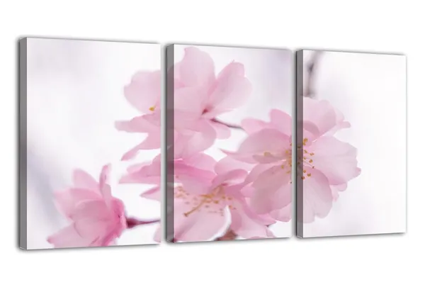 Multicolor_Abstract_Canvas_Wall_Art_|_For_Living_Room_Wall_Decor_|_For_Bedroom_Office_Decoration,_Wall_Decoration_Large_Painting_Artwork_Set_Of_3_Piece,_Each_Panel_Size_12_X_18,_S31631