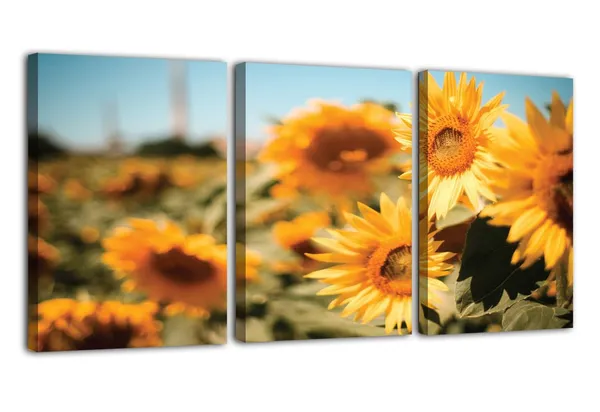 Multicolor_Abstract_Canvas_Wall_Art_|_For_Living_Room_Wall_Decor_|_For_Bedroom_Office_Decoration,_Wall_Decoration_Large_Painting_Artwork_Set_Of_3_Piece,_Each_Panel_Size_12_X_18,_S31637