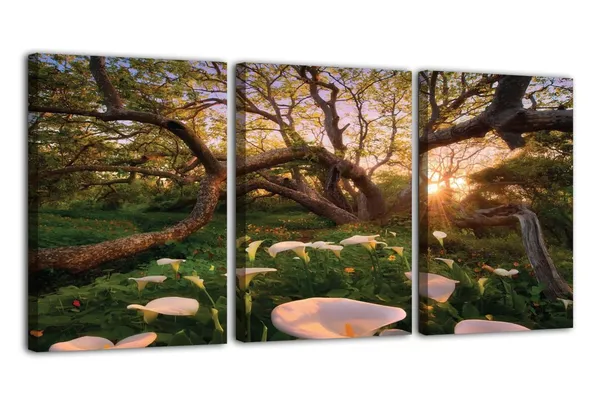Multicolor_Abstract_Canvas_Wall_Art_|_For_Living_Room_Wall_Decor_|_For_Bedroom_Office_Decoration,_Wall_Decoration_Large_Painting_Artwork_Set_Of_3_Piece,_Each_Panel_Size_12_X_18,_S31643