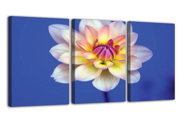 Multicolor_Abstract_Canvas_Wall_Art_|_For_Living_Room_Wall_Decor_|_For_Bedroom_Office_Decoration,_Wall_Decoration_Large_Painting_Artwork_Set_Of_3_Piece,_Each_Panel_Size_12_X_18,_S31671