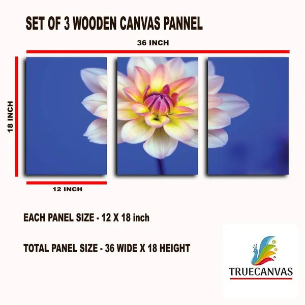Multicolor_Abstract_Canvas_Wall_Art_|_For_Living_Room_Wall_Decor_|_For_Bedroom_Office_Decoration,_Wall_Decoration_Large_Painting_Artwork_Set_Of_3_Piece,_Each_Panel_Size_12_X_18,_S31671