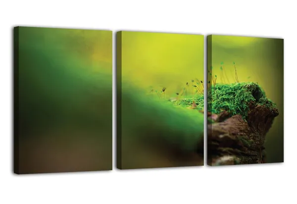 Multicolor_Abstract_Canvas_Wall_Art_|_For_Living_Room_Wall_Decor_|_For_Bedroom_Office_Decoration,_Wall_Decoration_Large_Painting_Artwork_Set_Of_3_Piece,_Each_Panel_Size_12_X_18,_S31697