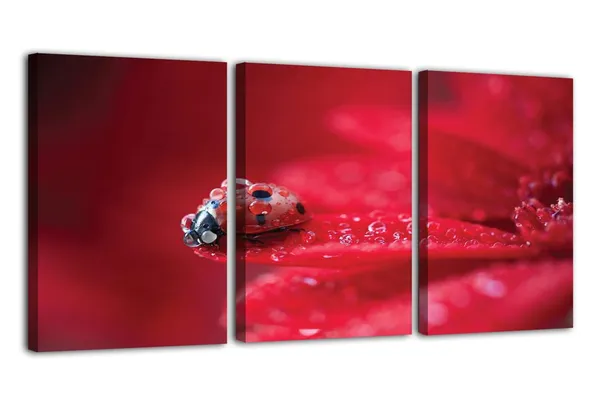 Multicolor_Abstract_Canvas_Wall_Art_|_For_Living_Room_Wall_Decor_|_For_Bedroom_Office_Decoration,_Wall_Decoration_Large_Painting_Artwork_Set_Of_3_Piece,_Each_Panel_Size_12_X_18,_S31704
