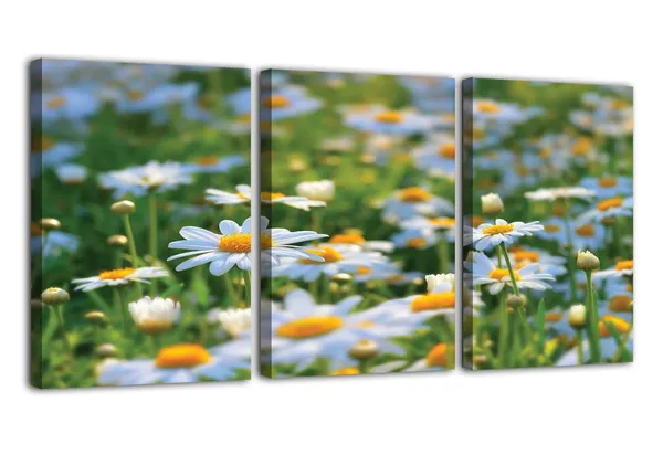 Multicolor_Abstract_Canvas_Wall_Art_|_For_Living_Room_Wall_Decor_|_For_Bedroom_Office_Decoration,_Wall_Decoration_Large_Painting_Artwork_Set_Of_3_Piece,_Each_Panel_Size_12_X_18,_S31715