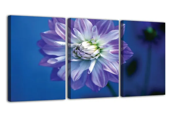 Multicolor_Abstract_Canvas_Wall_Art_|_For_Living_Room_Wall_Decor_|_For_Bedroom_Office_Decoration,_Wall_Decoration_Large_Painting_Artwork_Set_Of_3_Piece,_Each_Panel_Size_12_X_18,_S31731
