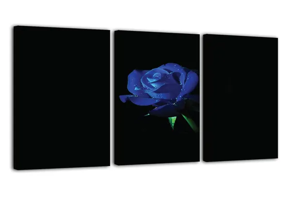 Multicolor_Abstract_Canvas_Wall_Art_|_For_Living_Room_Wall_Decor_|_For_Bedroom_Office_Decoration,_Wall_Decoration_Large_Painting_Artwork_Set_Of_3_Piece,_Each_Panel_Size_12_X_18,_S31737