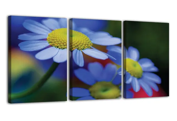 Multicolor_Abstract_Canvas_Wall_Art_|_For_Living_Room_Wall_Decor_|_For_Bedroom_Office_Decoration,_Wall_Decoration_Large_Painting_Artwork_Set_Of_3_Piece,_Each_Panel_Size_12_X_18,_S31748