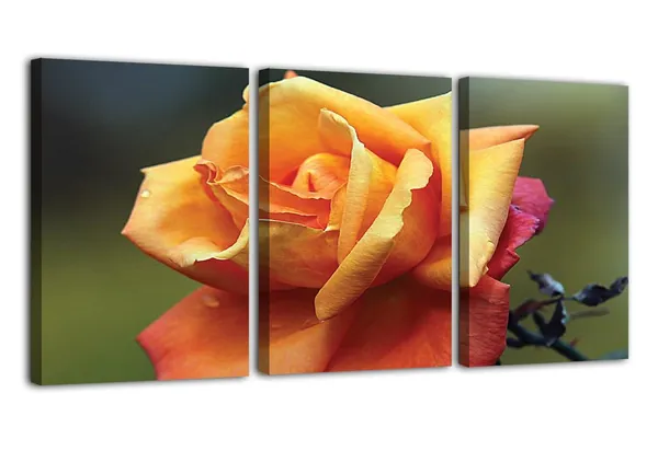 Multicolor_Abstract_Canvas_Wall_Art_|_For_Living_Room_Wall_Decor_|_For_Bedroom_Office_Decoration,_Wall_Decoration_Large_Painting_Artwork_Set_Of_3_Piece,_Each_Panel_Size_12_X_18,_S31759