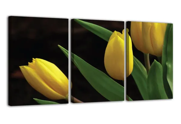 Multicolor_Abstract_Canvas_Wall_Art_|_For_Living_Room_Wall_Decor_|_For_Bedroom_Office_Decoration,_Wall_Decoration_Large_Painting_Artwork_Set_Of_3_Piece,_Each_Panel_Size_12_X_18,_S31765