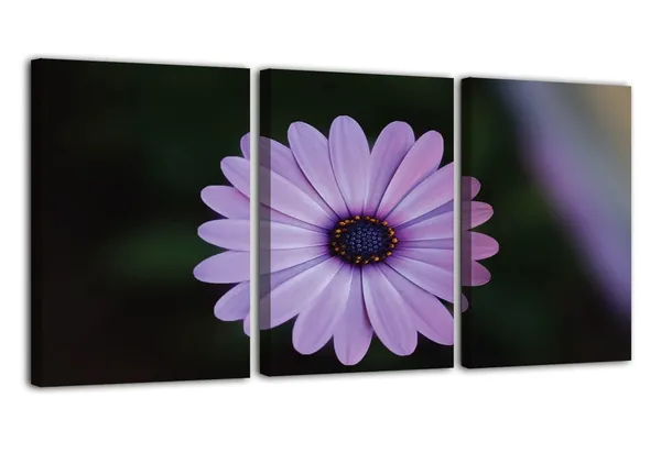 Multicolor_Abstract_Canvas_Wall_Art_|_For_Living_Room_Wall_Decor_|_For_Bedroom_Office_Decoration,_Wall_Decoration_Large_Painting_Artwork_Set_Of_3_Piece,_Each_Panel_Size_12_X_18,_S31771