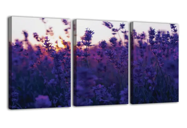 Multicolor_Abstract_Canvas_Wall_Art_|_For_Living_Room_Wall_Decor_|_For_Bedroom_Office_Decoration,_Wall_Decoration_Large_Painting_Artwork_Set_Of_3_Piece,_Each_Panel_Size_12_X_18,_S31775