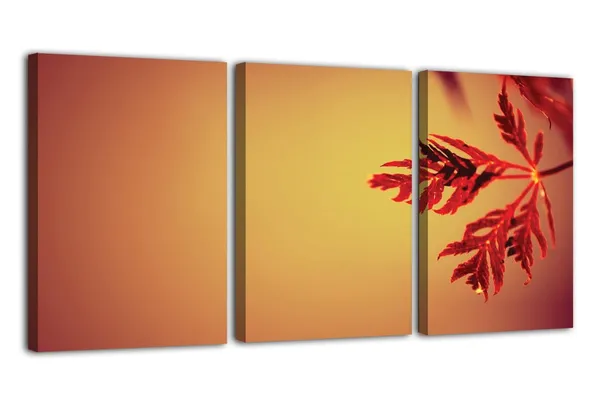 Multicolor_Abstract_Canvas_Wall_Art_|_For_Living_Room_Wall_Decor_|_For_Bedroom_Office_Decoration,_Wall_Decoration_Large_Painting_Artwork_Set_Of_3_Piece,_Each_Panel_Size_12_X_18,_S31781