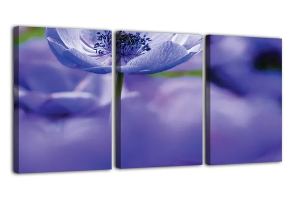 Multicolor_Abstract_Canvas_Wall_Art_|_For_Living_Room_Wall_Decor_|_For_Bedroom_Office_Decoration,_Wall_Decoration_Large_Painting_Artwork_Set_Of_3_Piece,_Each_Panel_Size_12_X_18,_S31788
